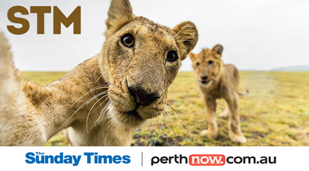 Perth Now STM_v2