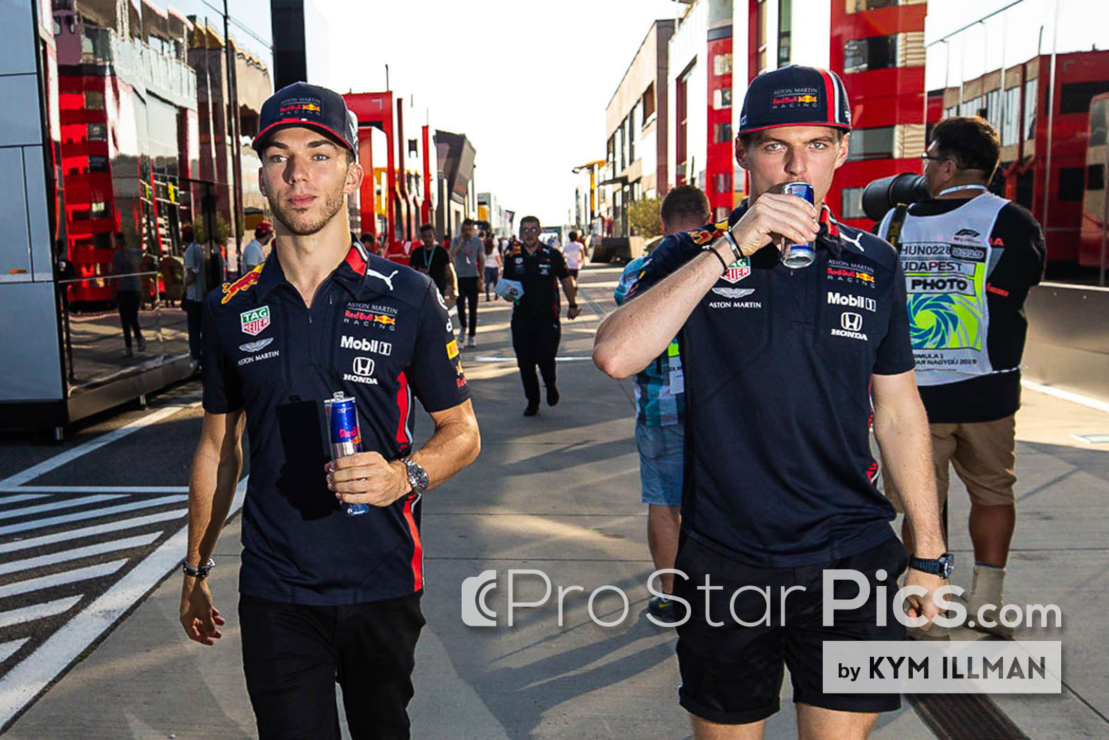 Driver Profile - Pierre Gasly - Kym Illman