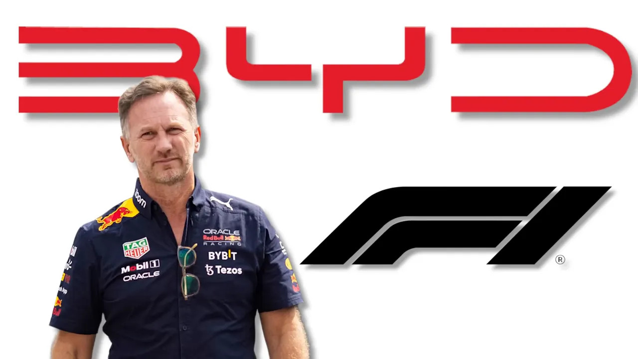 Christian Horner standing in front of BYD and F1 logos