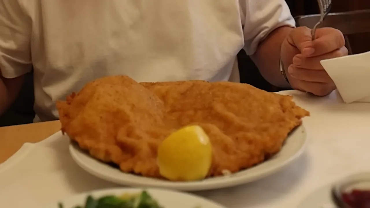 Large golden pork schnitzel with lemon on a white plate