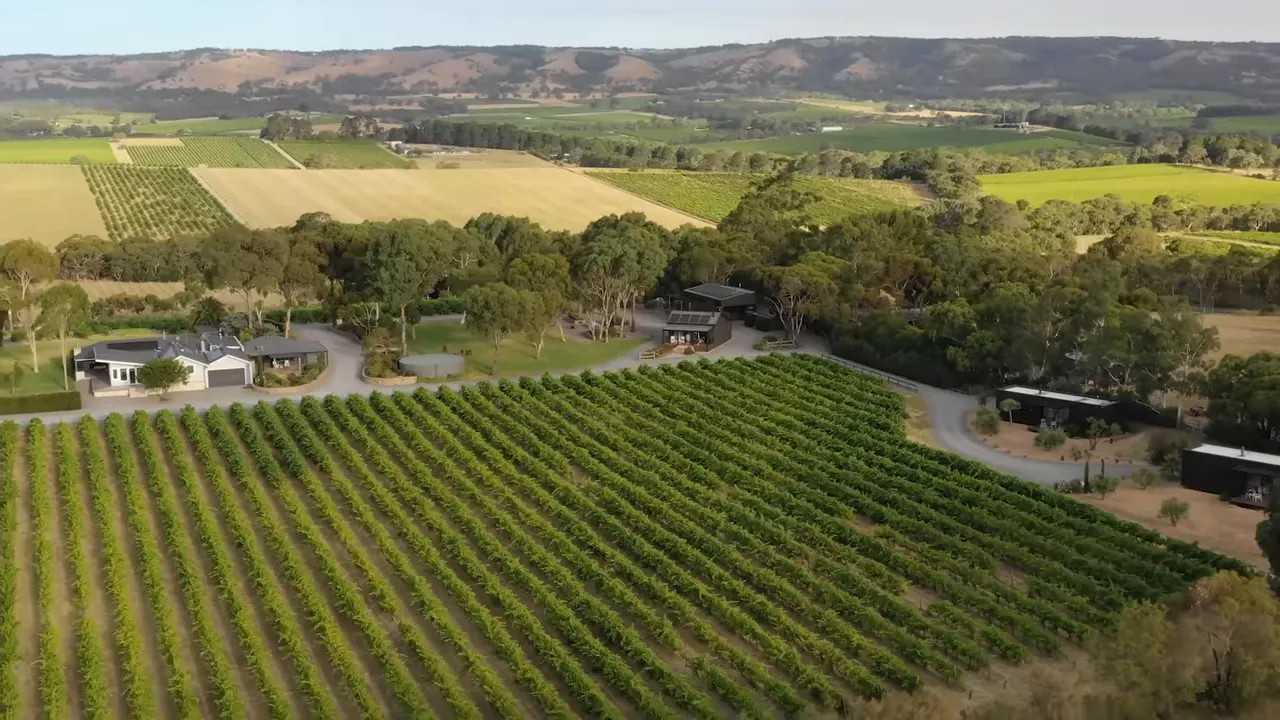 Aerial view of vineyard estate with rows of vines and estate buildings