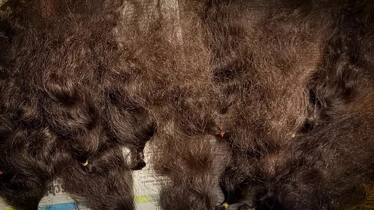 Close-up of dark hair braids and cut sections laid on newspaper ready for donation