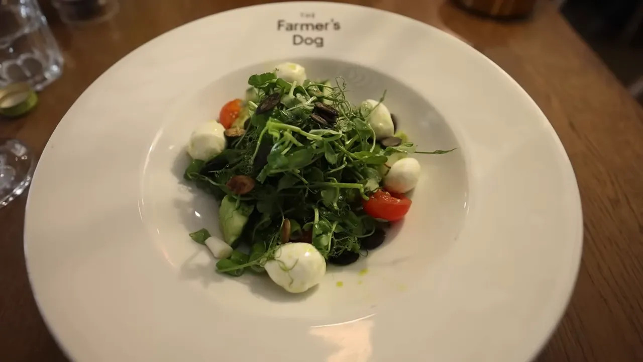 White plate with buffalo mozzarella salad greens small tomatoes and dressing on a wooden table