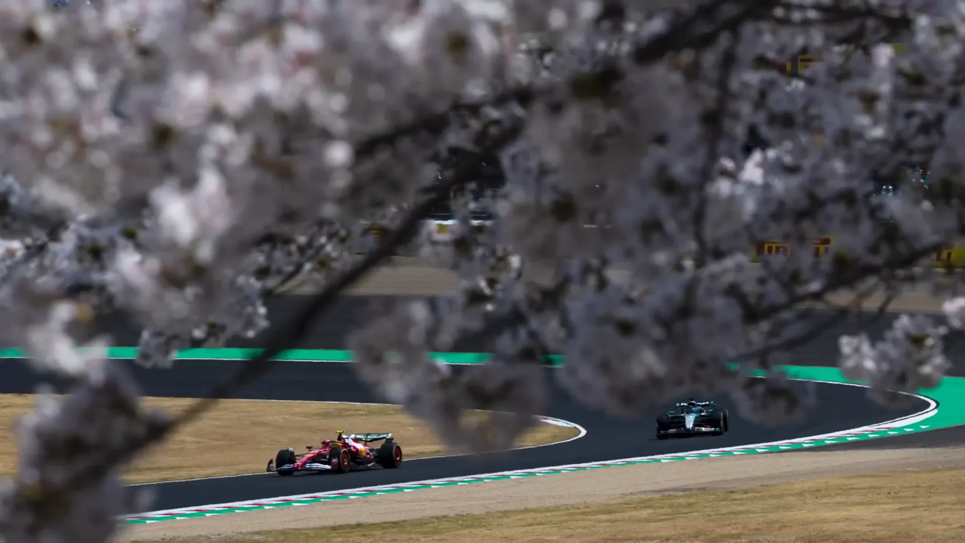 Photographers capturing the cherry blossoms at Suzuka