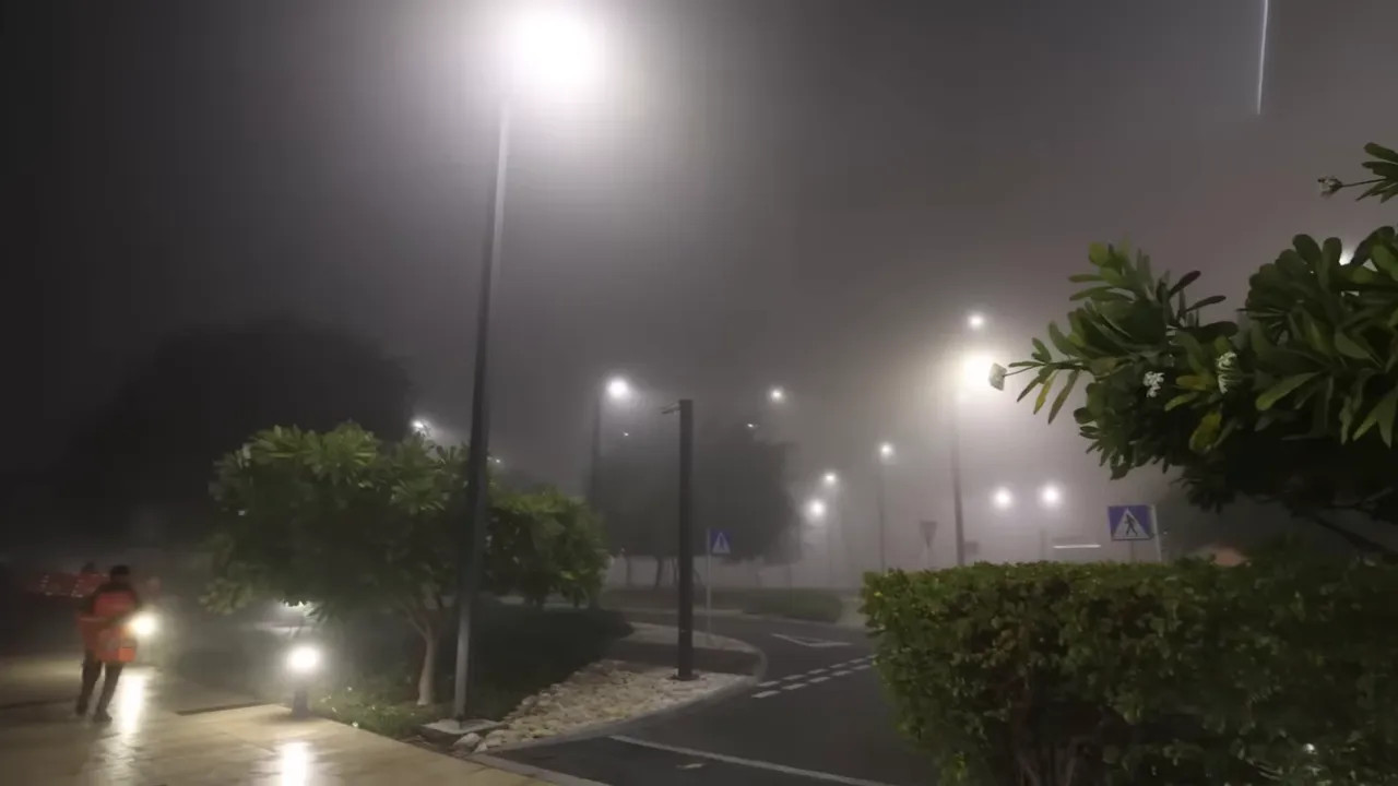 Street lamps and trees shrouded in thick fog at night, low visibility on the approach road