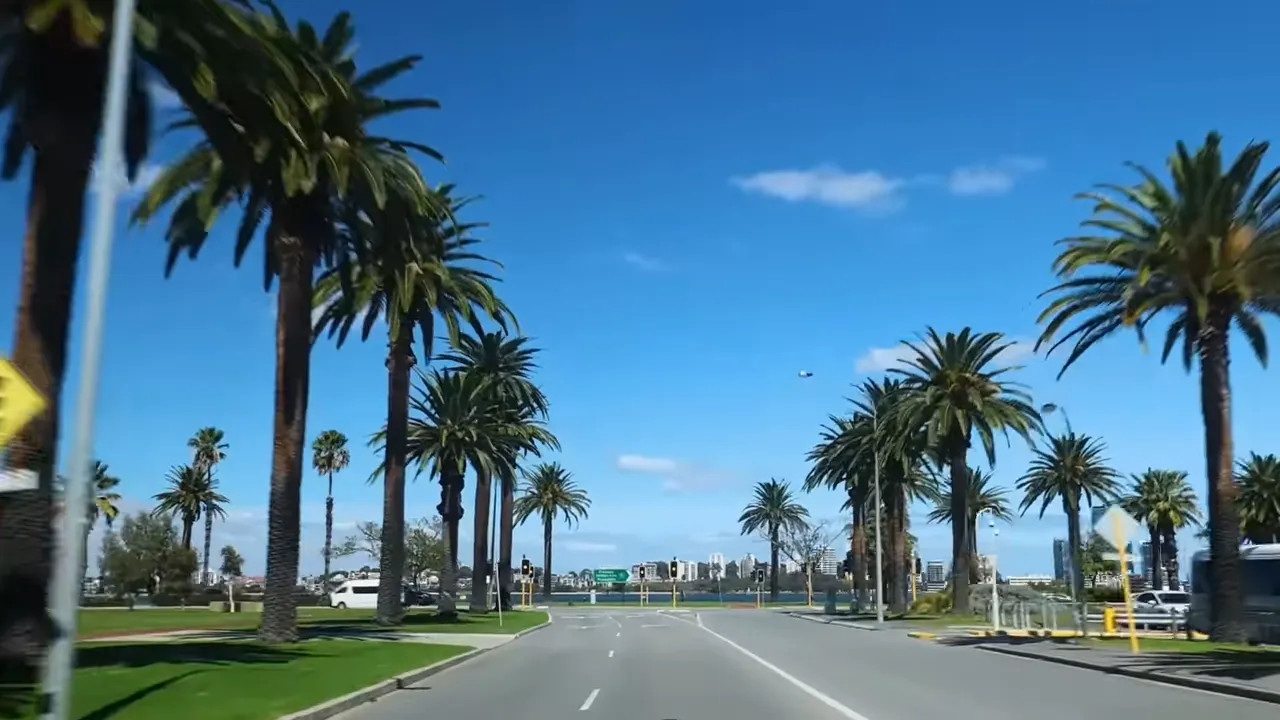 Palm-lined road in Perth with a bright blue sky