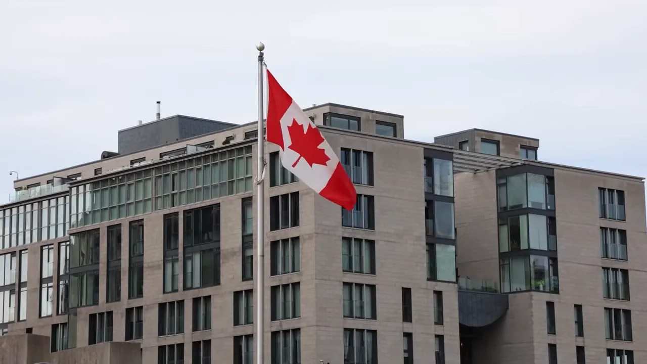 Canadian flags in front of a modern city building