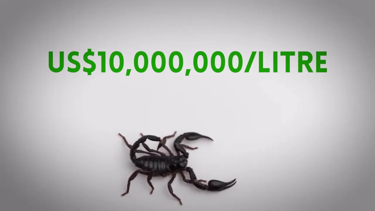 Graphic showing $10,000,000 per litre with a scorpion icon